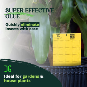 Catchmaster GRO yellow trap staked in ground beside garden beds.