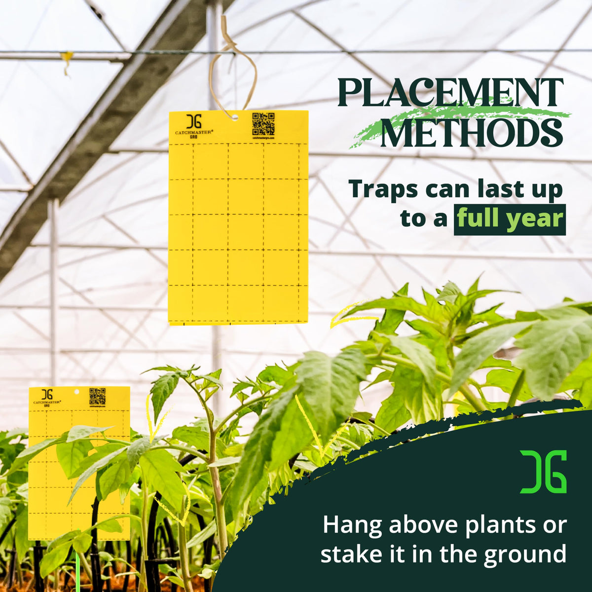 Catchmaster GRO yellow trap in outdoor garden protecting live plants.