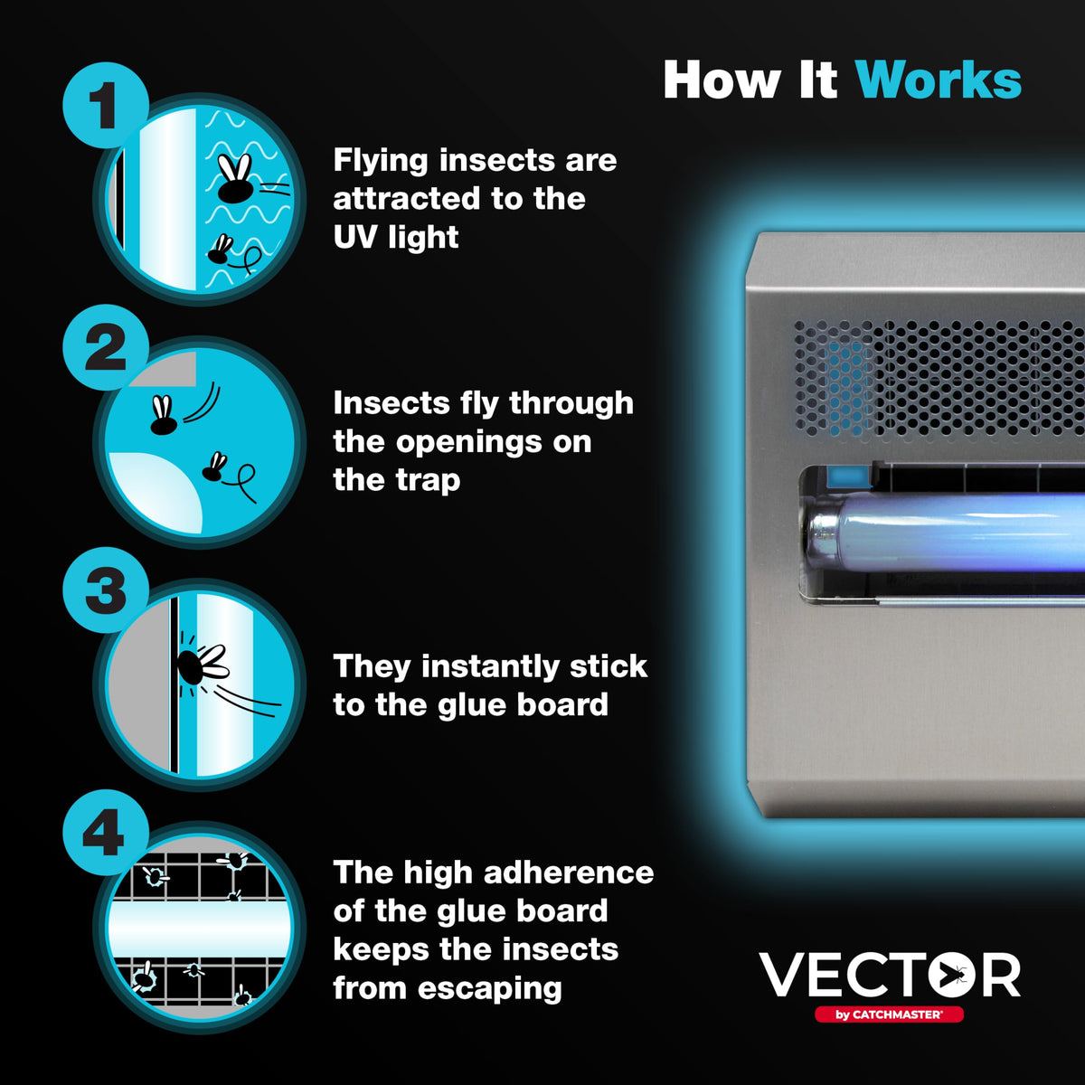 Catchmaster Vector 15 Silver 15W bulb provides powerful attraction for flying pests.
