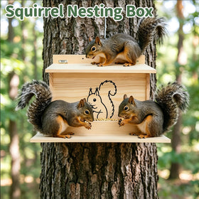 Catheralysia Squirrel House Durable Wood Construction withstands weather.