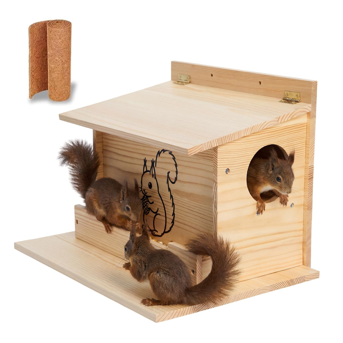 Catheralysia Squirrel House with Front Feeder inviting local squirrels.