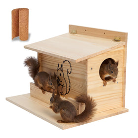 Catheralysia Squirrel House with Front Feeder inviting local squirrels.