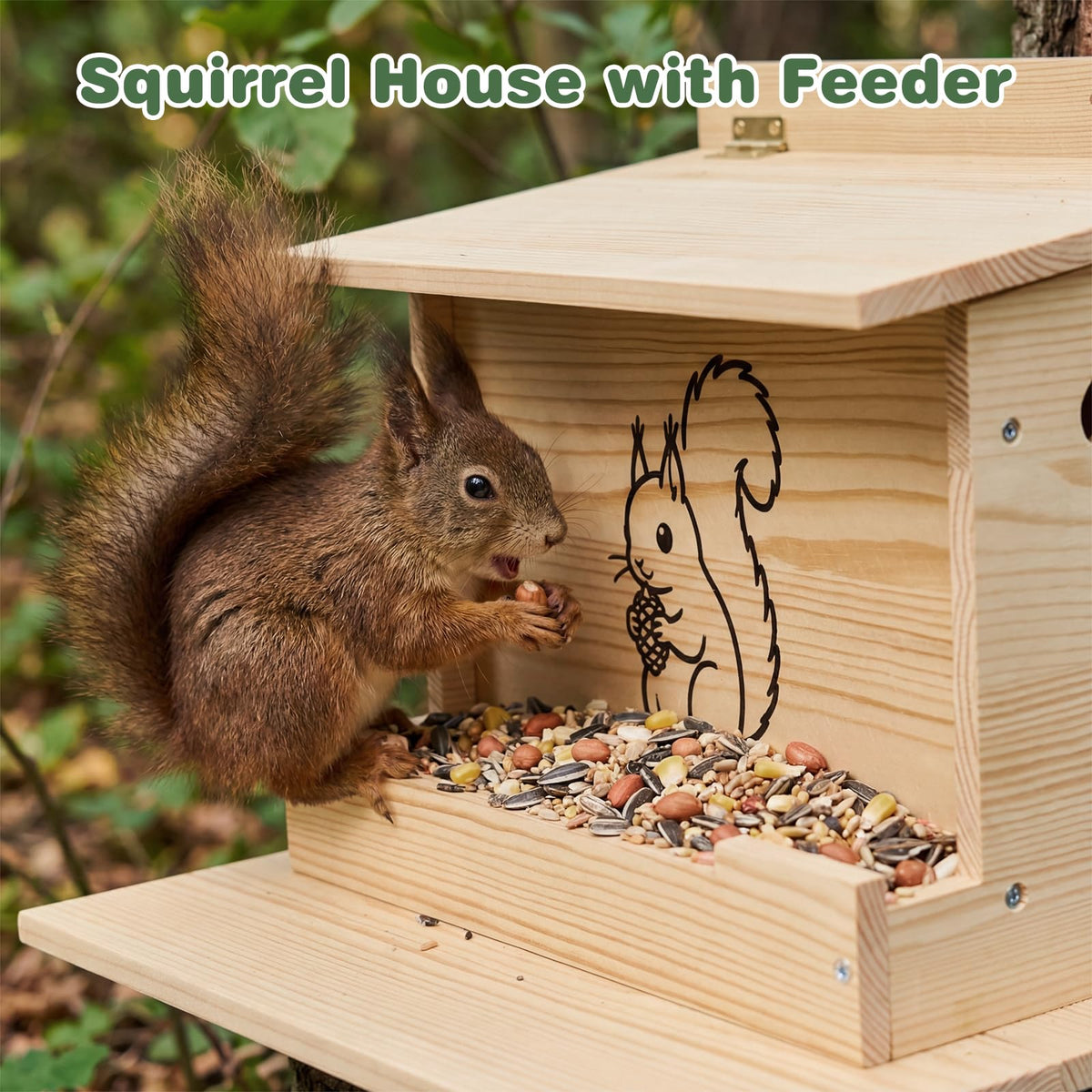 Catheralysia Squirrel House Predator Guard protects playful visitors from predators.