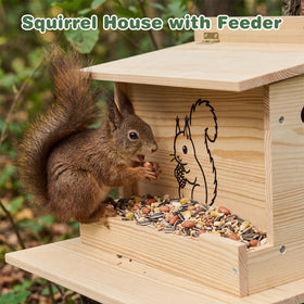 Catheralysia Squirrel House Predator Guard protects playful visitors from predators.