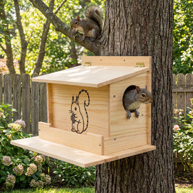 Catheralysia Squirrel Play Area Ground invites multiple visitors to explore.