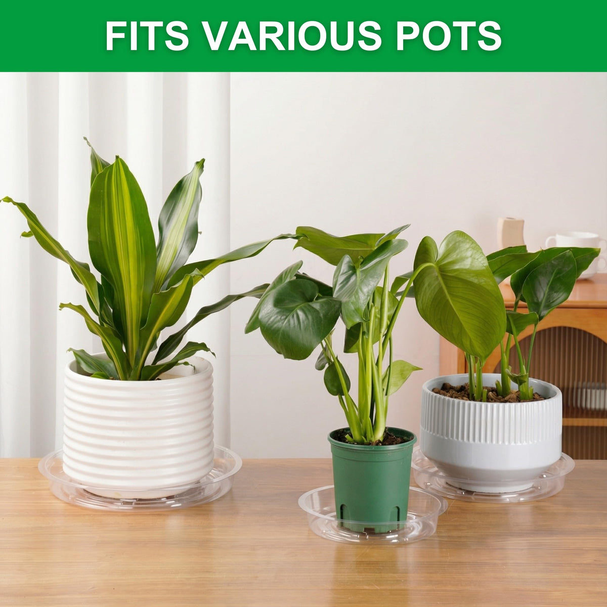 CATIFLIN clear 10-inch plant saucer catches excess water for medium pots