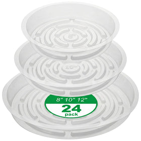 CATIFLIN clear 8-inch plant saucer protects floors from water while showcasing your plant