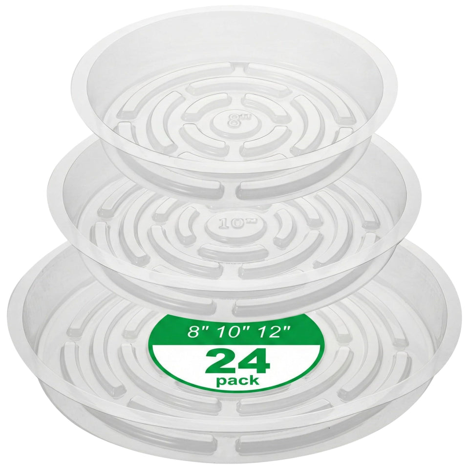 CATIFLIN clear 8-inch plant saucer protects floors from water while showcasing your plant