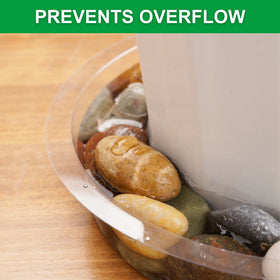 CATIFLIN transparent tray doubles as a decorative pebble tray for humidity