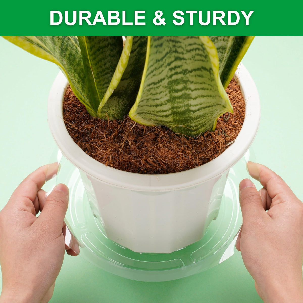 CATIFLIN water catcher tray promotes airflow under pots for healthier roots