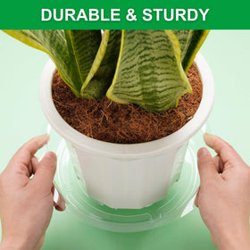 CATIFLIN water catcher tray promotes airflow under pots for healthier roots