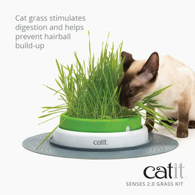 Catit Senses-2.0 Cat Grass Planter shows the growing setup.