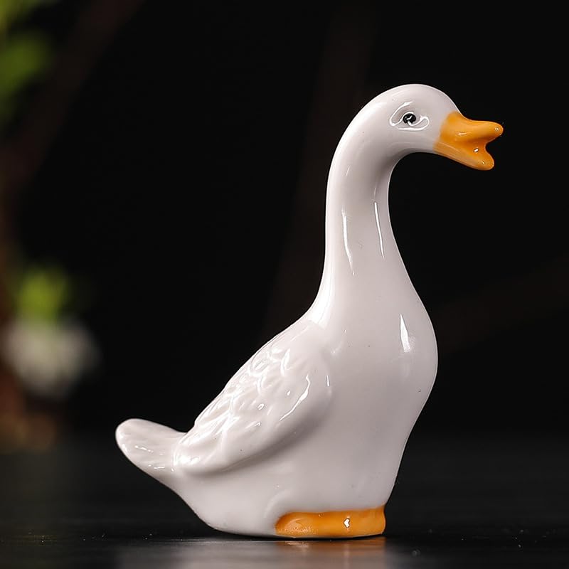 CCUUHJ ceramic ducks for terrariums and succulent arrangements