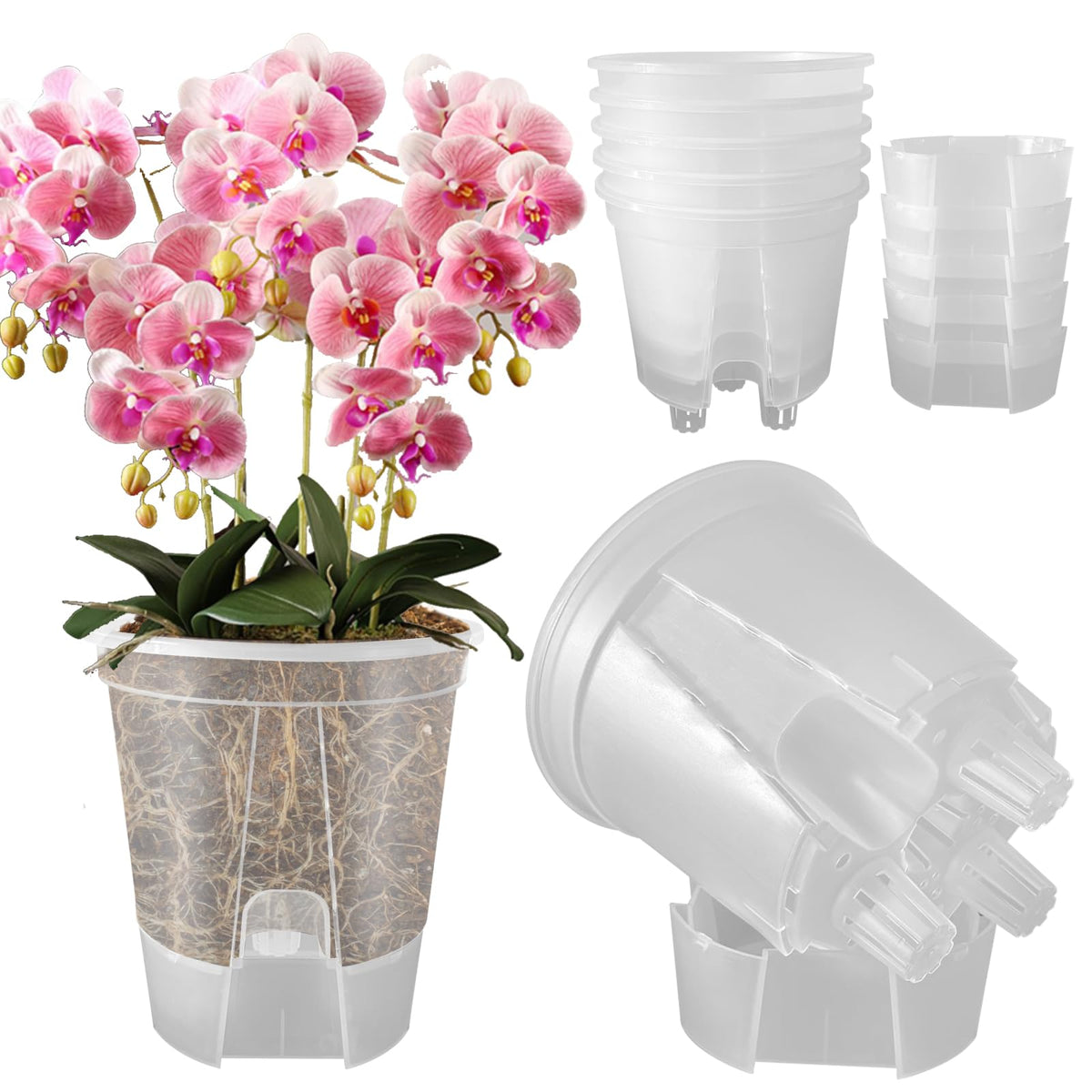 Cdd's Path 5-pack 6-inch planter with clear reservoir for indoor plants
