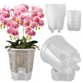 Cdd's Path 5-pack 6-inch planter with clear reservoir for indoor plants