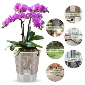Cdd's Path durable self-watering planters designed to resist drops