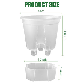 Cdd's Path planter with side air holes for better root airflow