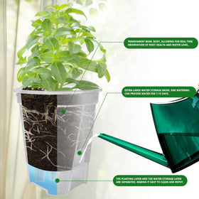 Cdd's Path air-column base illustration demonstrating improved aeration