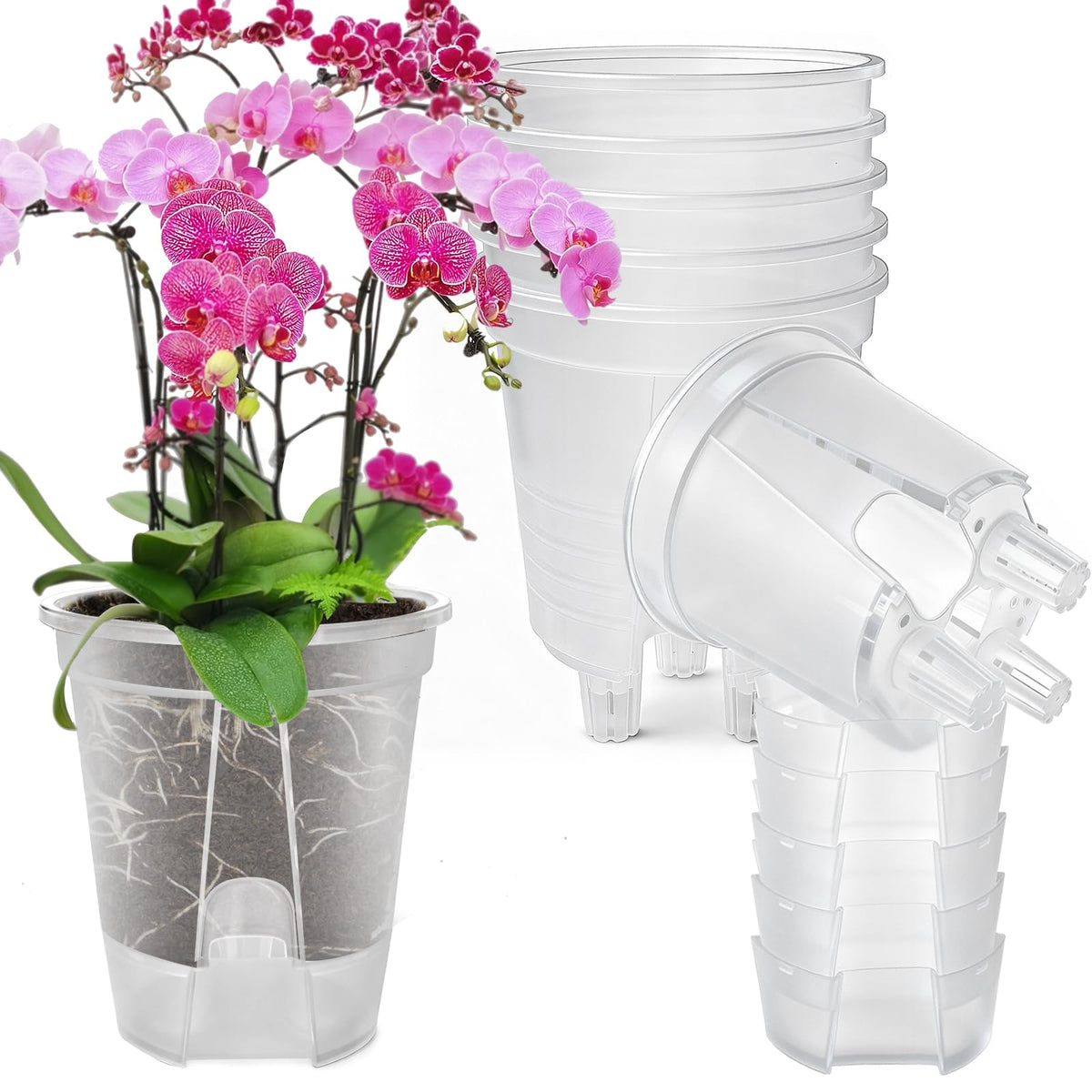 Cdd's Path large naked root planter with clear walls for easy root health checks