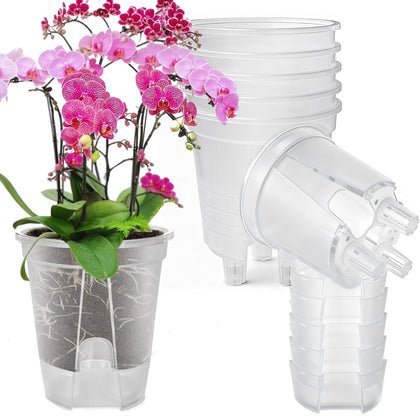 Cdd's Path large naked root planter with clear walls for easy root health checks