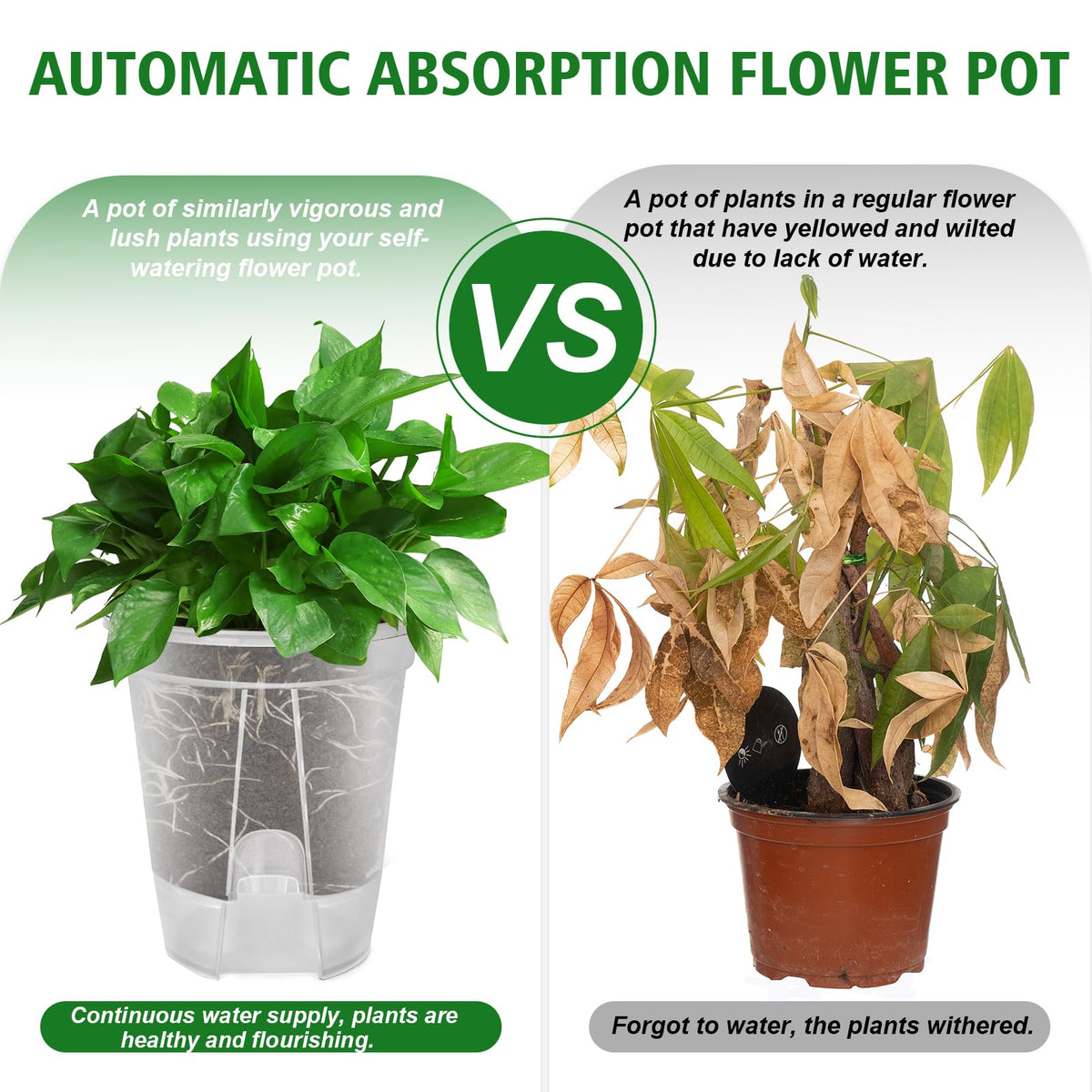 Cdd's Path side vents promoting root oxygen and natural conditions