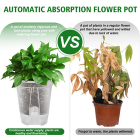 Cdd's Path side vents promoting root oxygen and natural conditions