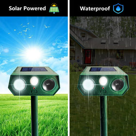 CDREPELUU motion-activated deterrent in action deterring pests