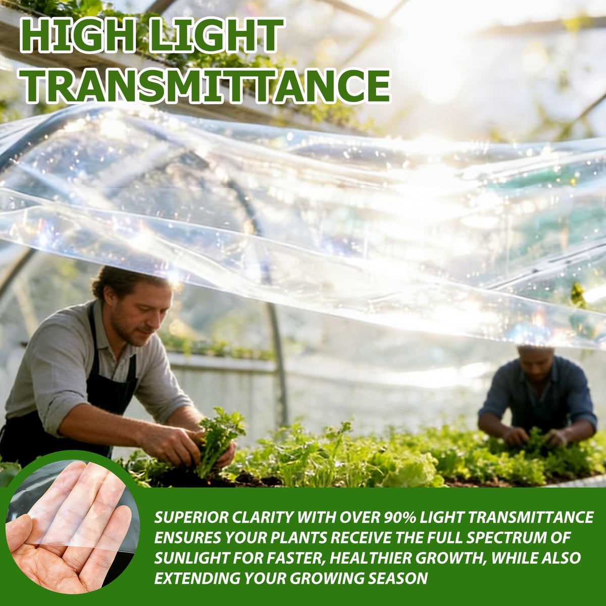 Ceblish easy-install greenhouse film – simple cut-to-size for cold frames and row covers