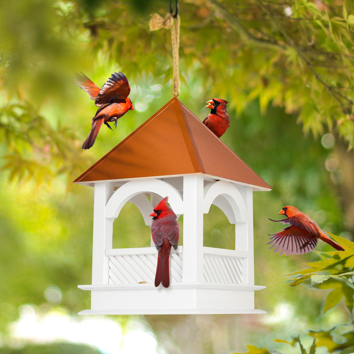 CEDAR ALPHA 10 lb capacity supports generous bird visits.