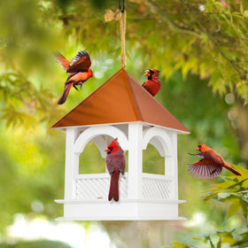 CEDAR ALPHA 10 lb capacity supports generous bird visits.