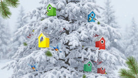 CEDAR ALPHA bluebird house size supports typical backyard nesting.