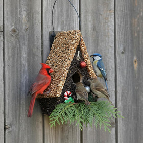 CEDAR ALPHA classic wooden birdhouse design for outdoor decor