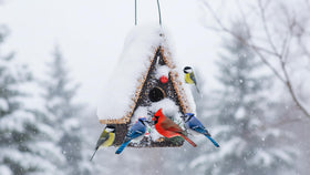 CEDAR ALPHA eco-friendly materials promote sustainable backyard feeding