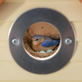 Cedar Alpha eco-friendly materials support sustainable nesting spots