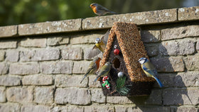 CEDAR ALPHA gift-ready birdhouse decor for nature lovers