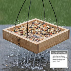 CEDAR ALPHA large-bird-friendly tray offering ample feeding space for bigger species.