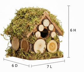 CEDAR ALPHA Outdoor nest box dimensions suit small birds