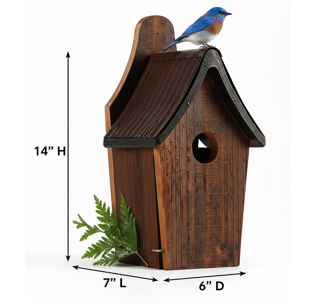 CEDAR ALPHA rod perch design provides stable perching for small birds.