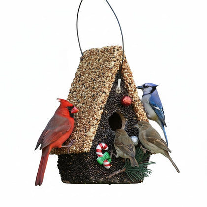 CEDAR ALPHA seeded birdhouse outdoor hanging invites backyard birds