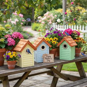 Cedar Alpha UV paint coating protects color and bird safety