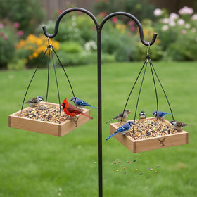 CEDAR ALPHA weather-proof outdoor feeder enduring sun and rain while maintaining cedar texture.