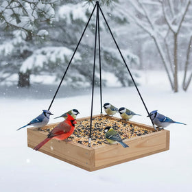 CEDAR ALPHA cedar wood platform tray feeder 12-inch viewed in outdoor garden showing feeding tray and natural finish.
