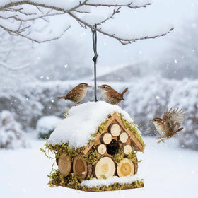 CEDAR ALPHA Wren Bird House exterior highlights durable cedar for outdoor use
