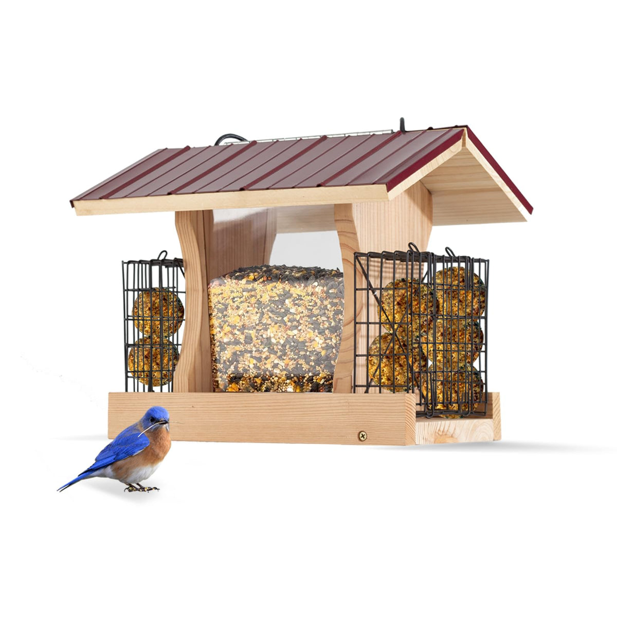 CEDAR ALPHA XL hopper feeder in a backyard birds scene.