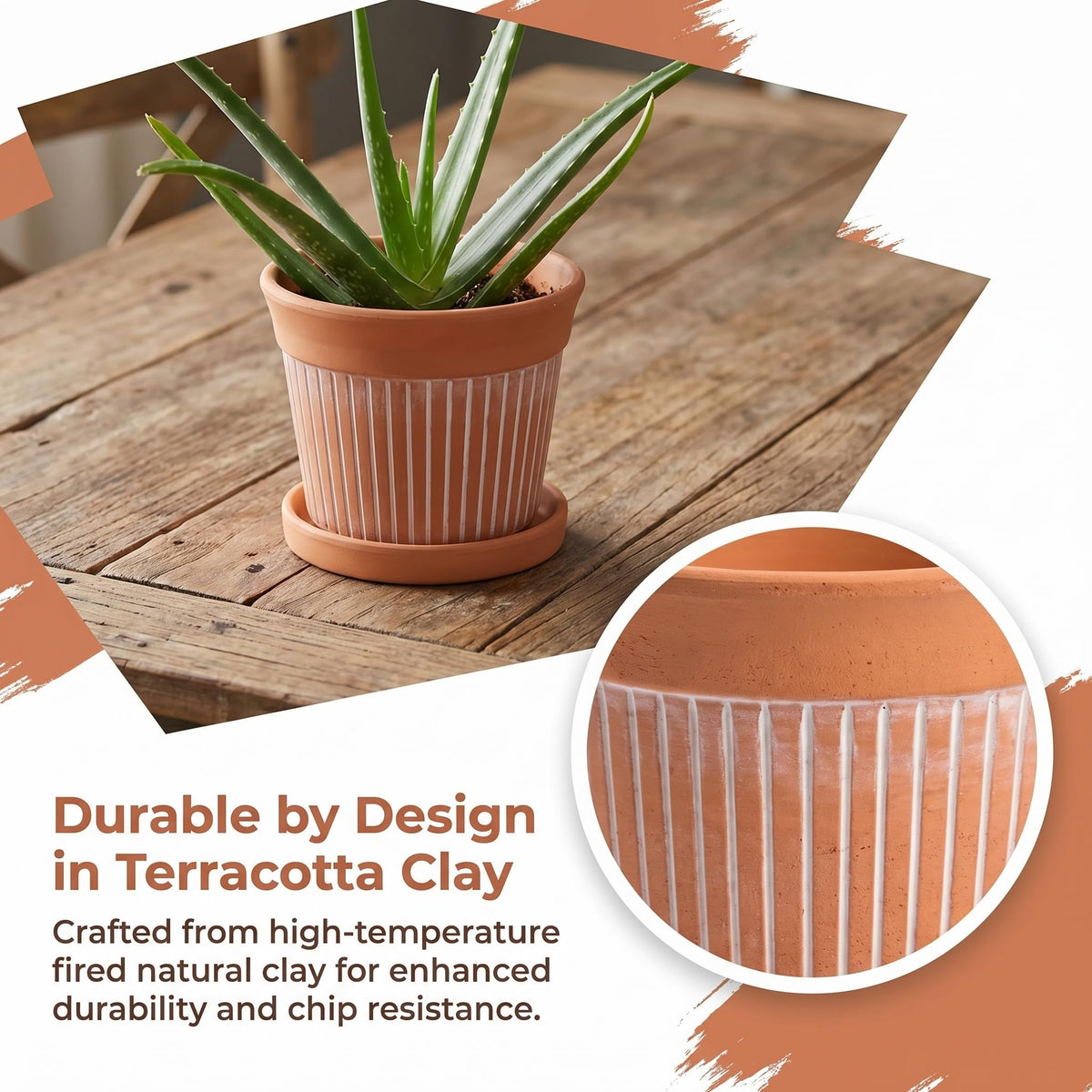 Cedilis 6-inch clay pots suited for succulents and small indoor plants.