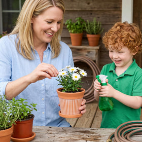 Cedilis terracotta pot with drainage hole prevents waterlogging and root stress.
