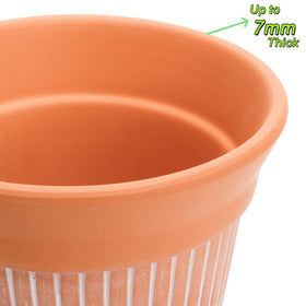 Cedilis terracotta pots with saucers catch excess water and protect surfaces.