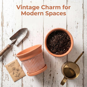 Cedilis vintage terracotta look pot enhances garden and balcony displays.