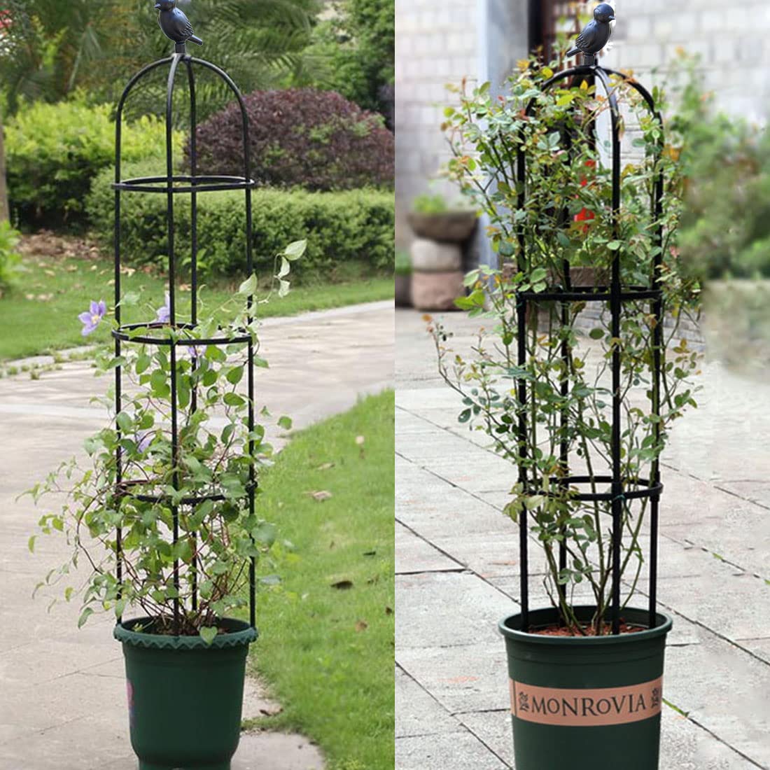 CEDOCSH garden trellis decorative frame enhances outdoor space while guiding climbing plants.