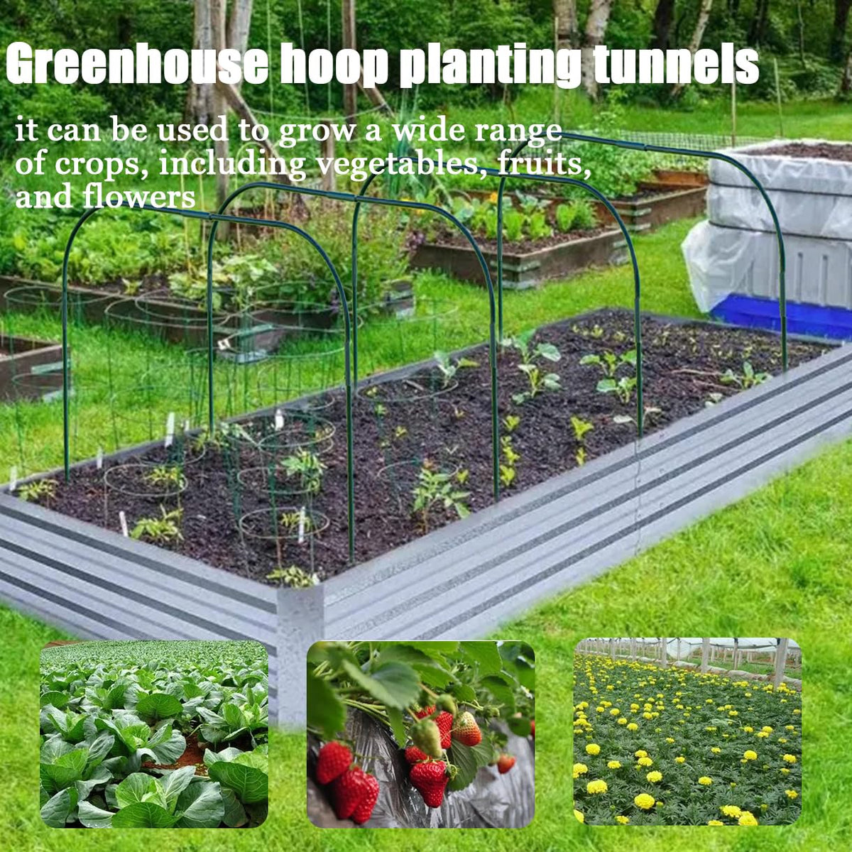 CEDOCSH Greenhouse Hoops assembled configuration enables multiple bed sizes.